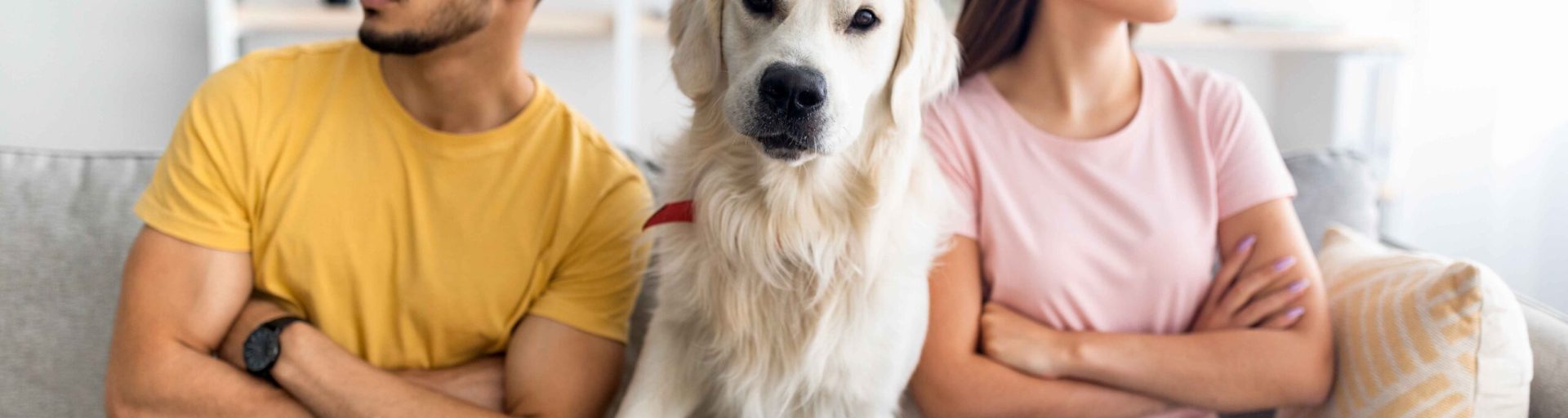 Couple en froid sur un canapé avec un chien au milieu, illustrant la garde de l’animal après une séparation.
